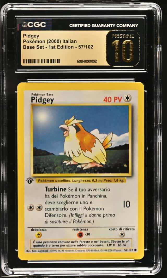 Pidgey