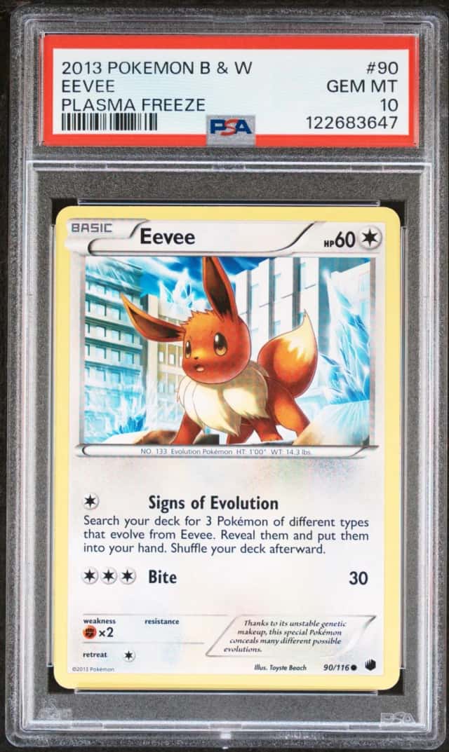 Eevee