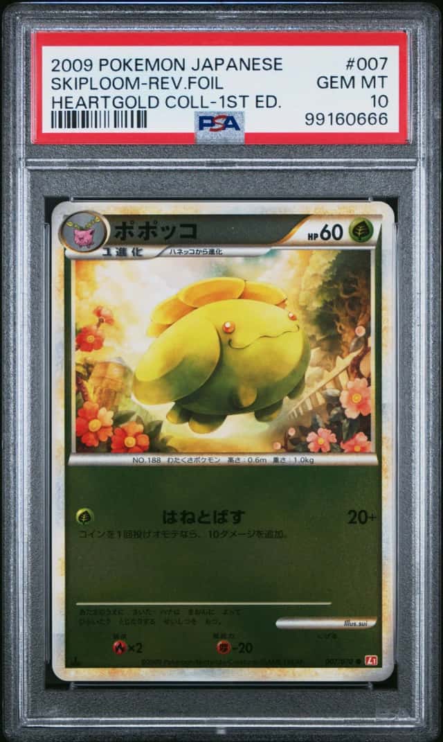 Skiploom