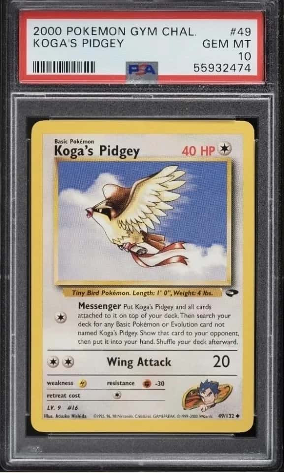 Koga's Pidgey