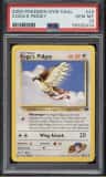Koga'S Pidgey