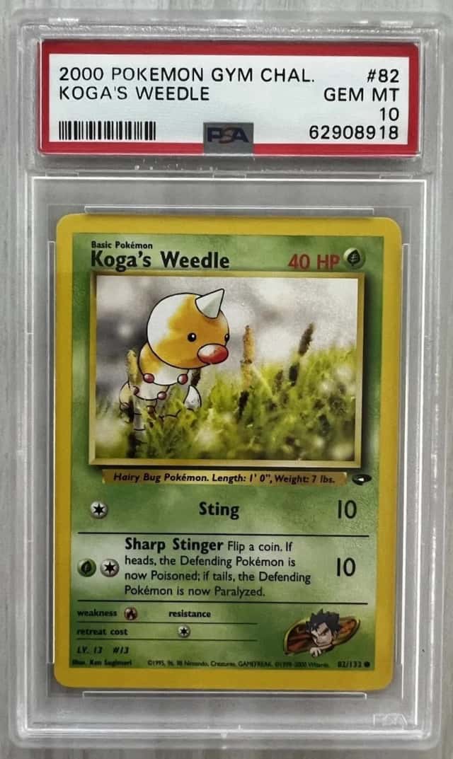 Koga's Weedle