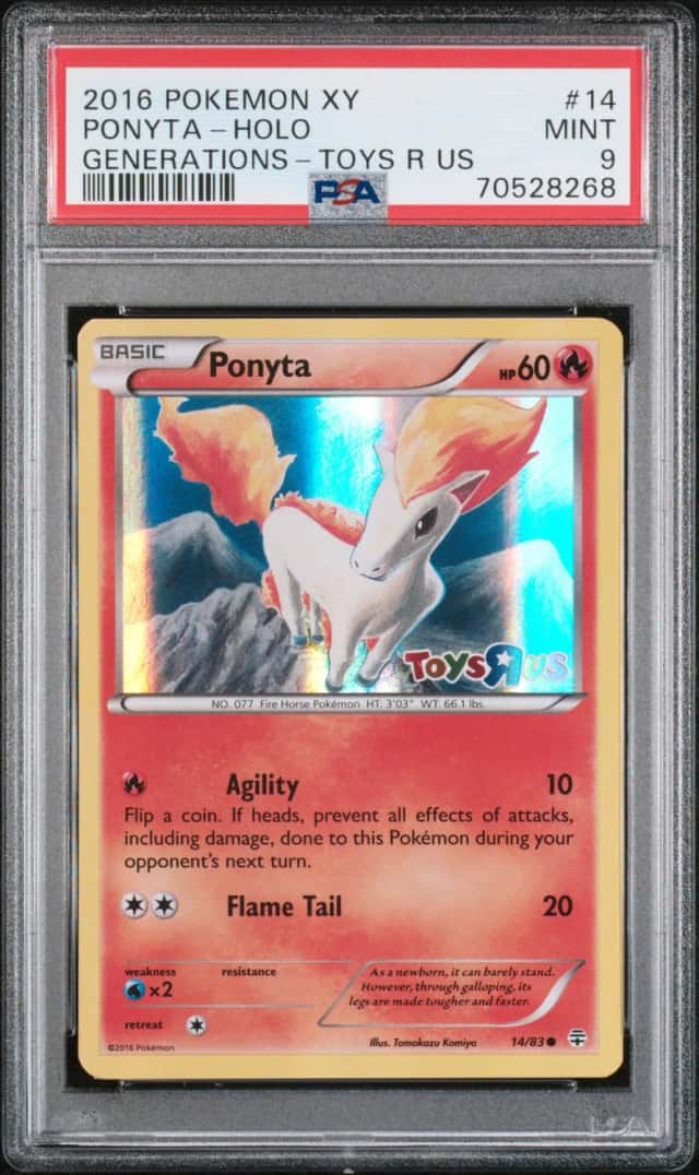 Ponyta