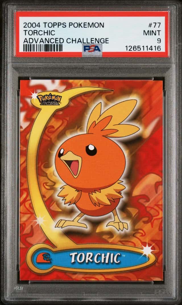Torchic