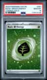Grass Energy