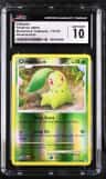 Chikorita