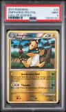 Ampharos