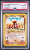 Piloswine
