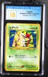 Ledyba