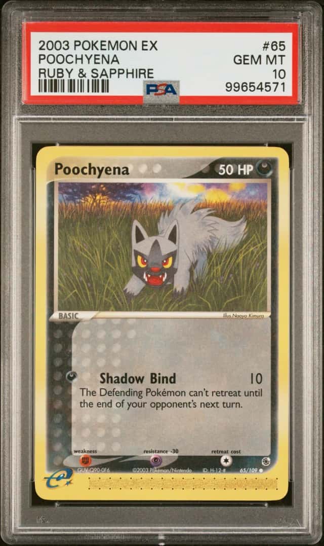 Poochyena