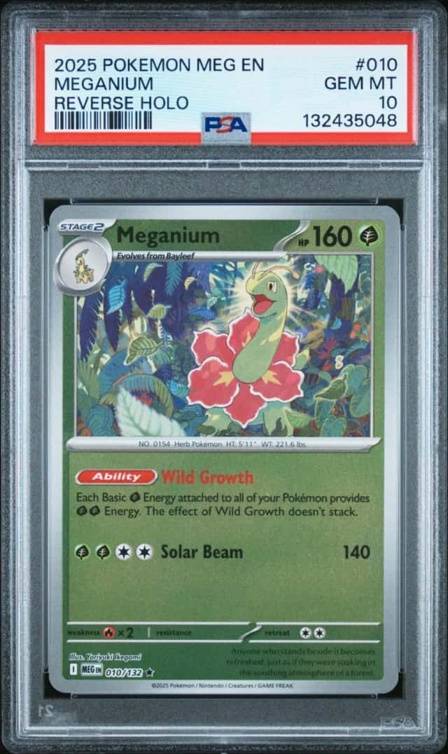 Meganium