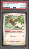 Spearow