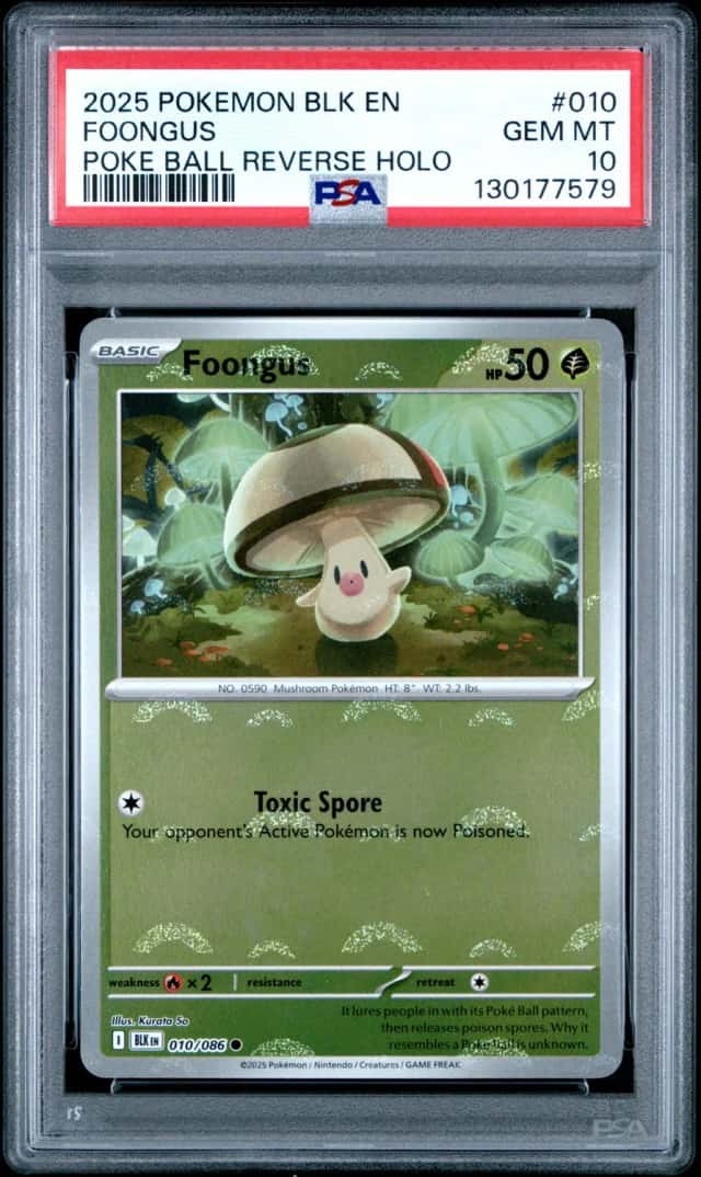 Foongus
