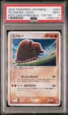 Piloswine