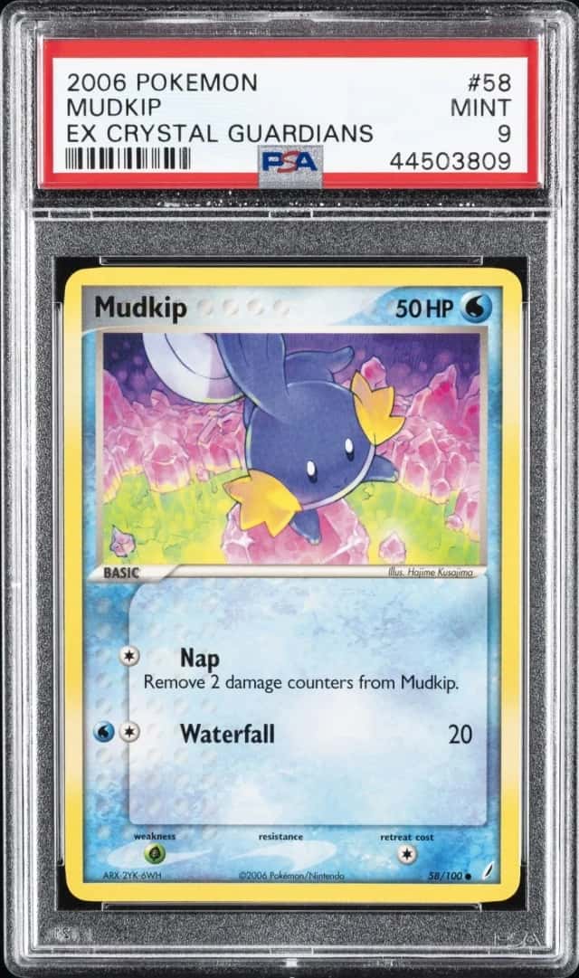 Mudkip