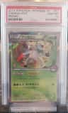 Chesnaught