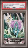 Celebi & Suicune