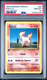 Ponyta