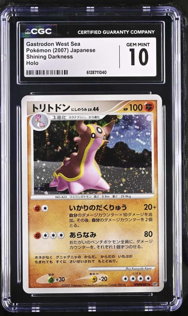 Gastrodon West Sea