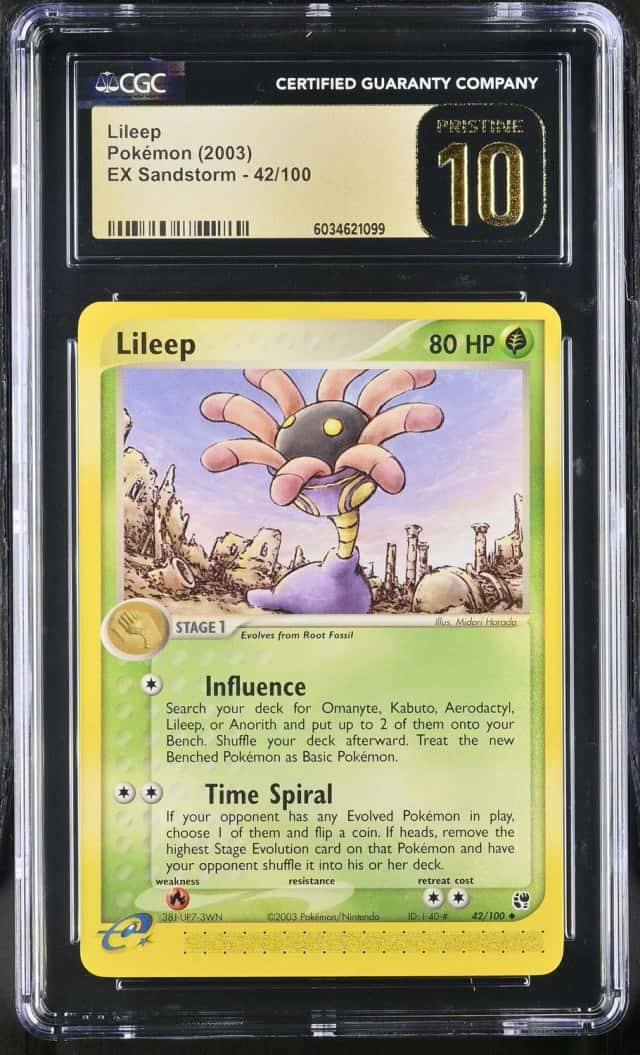 Lileep