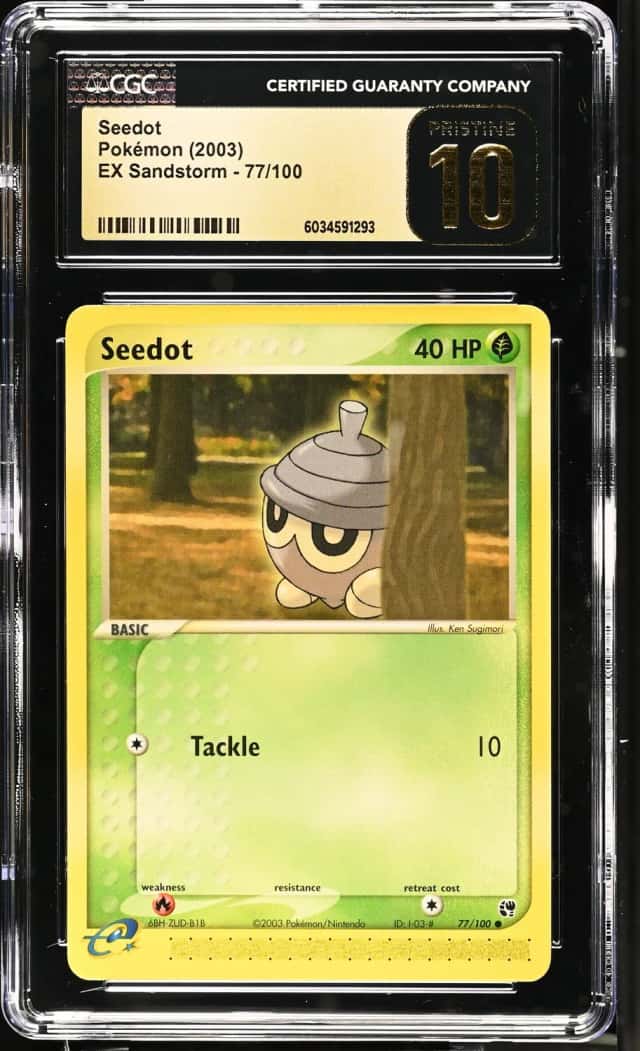 Seedot