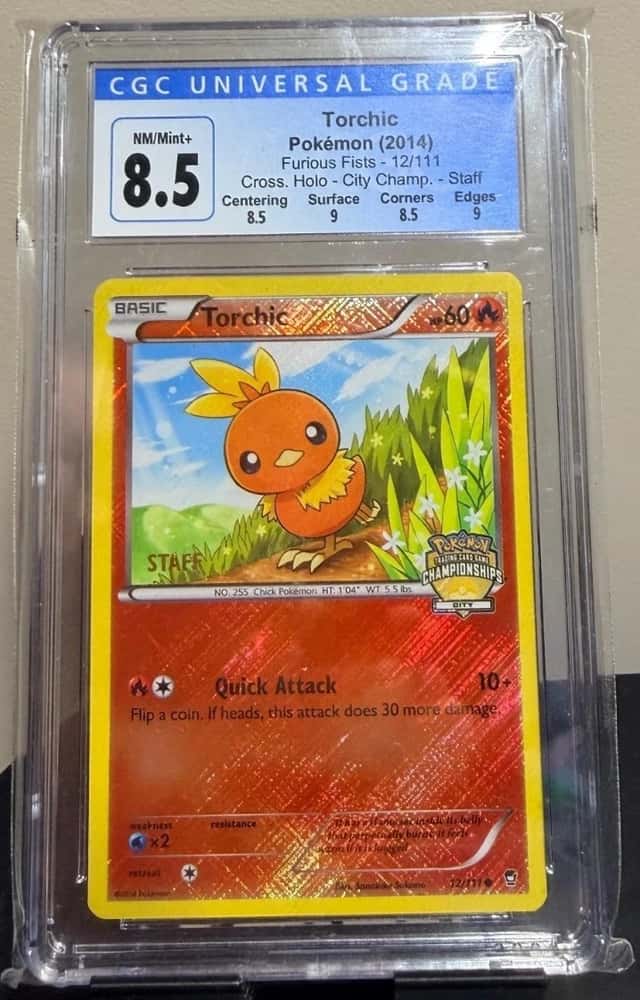 Torchic