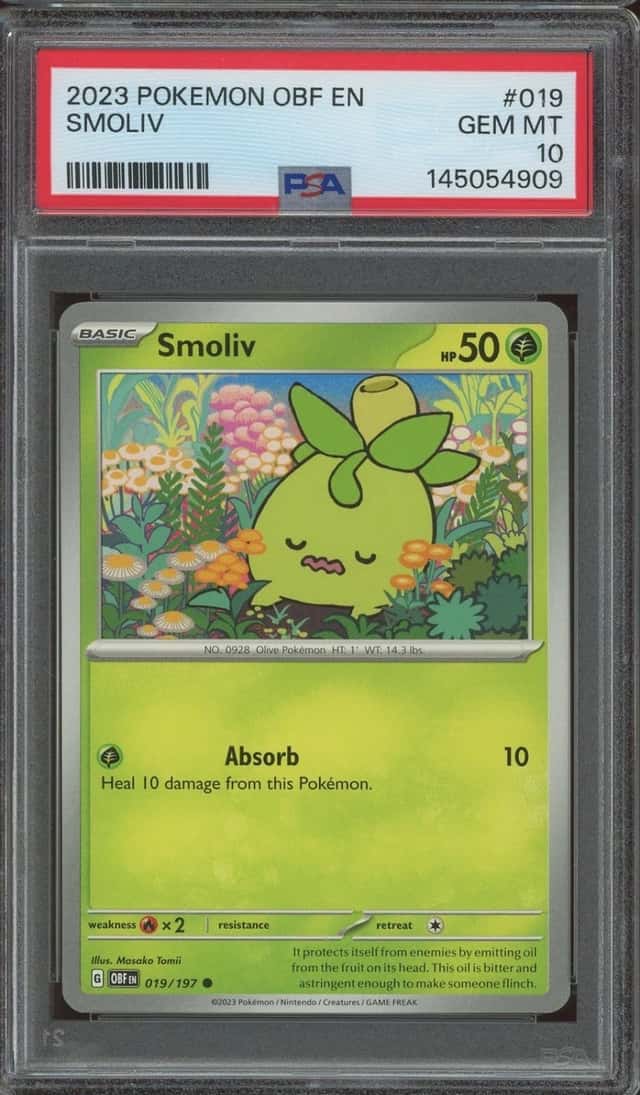 Smoliv