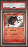 Paldean Tauros