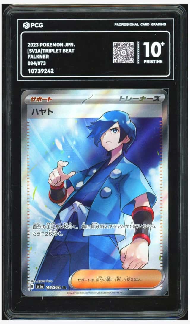 Falkner