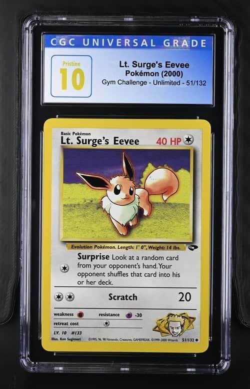 Lt. Surge's Eevee