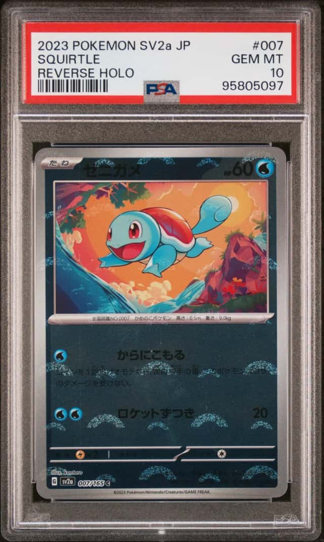 Squirtle