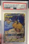 Raichu & Alolan Raichu Gx