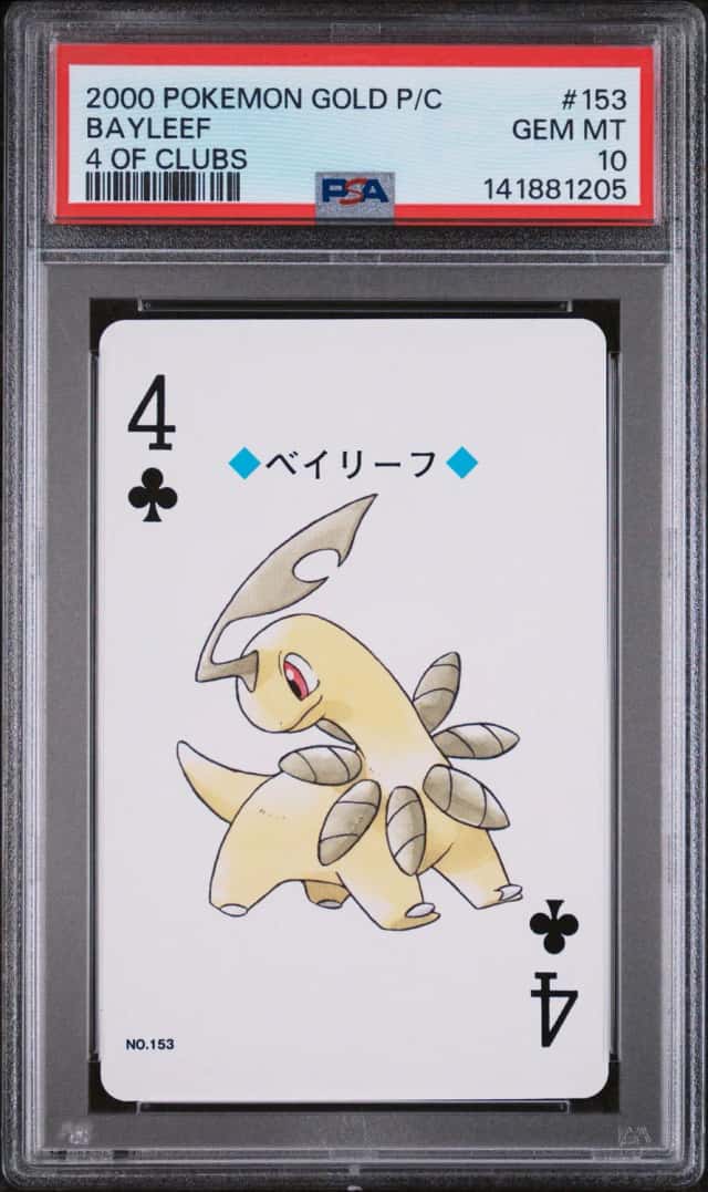 Bayleef