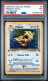 Pidgeot