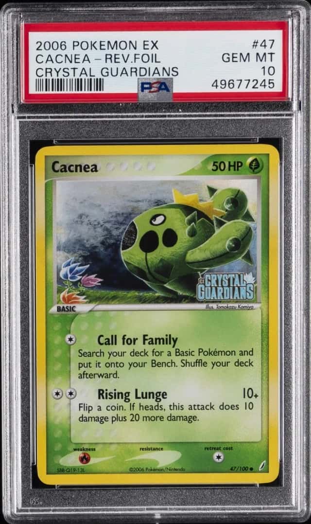 Cacnea