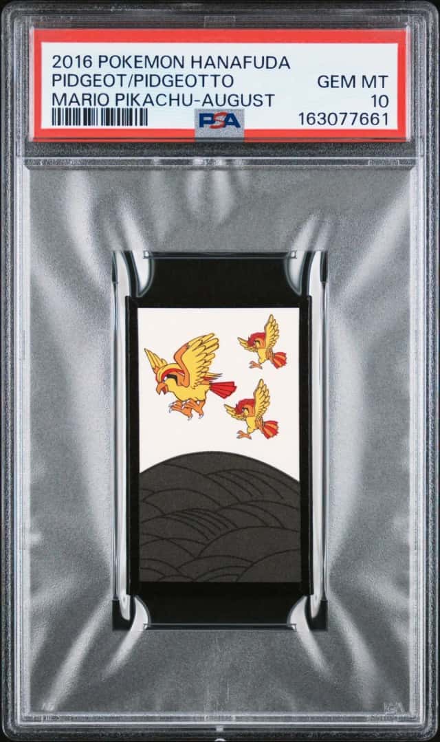 Pidgeot/Pidgeotto