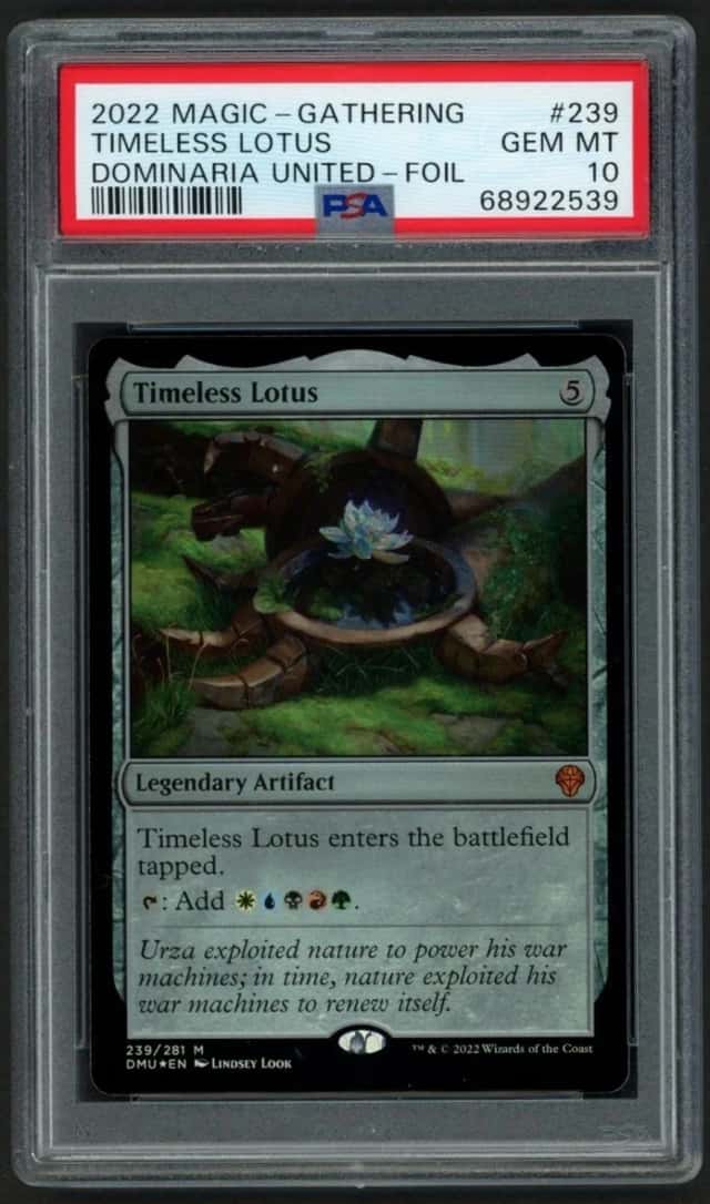 Timeless Lotus