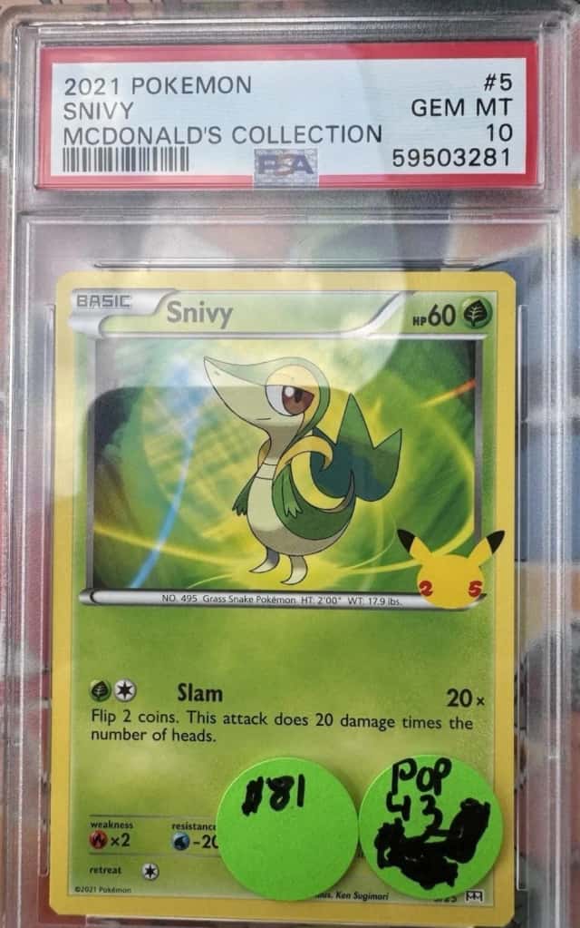 Snivy