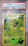 Snivy
