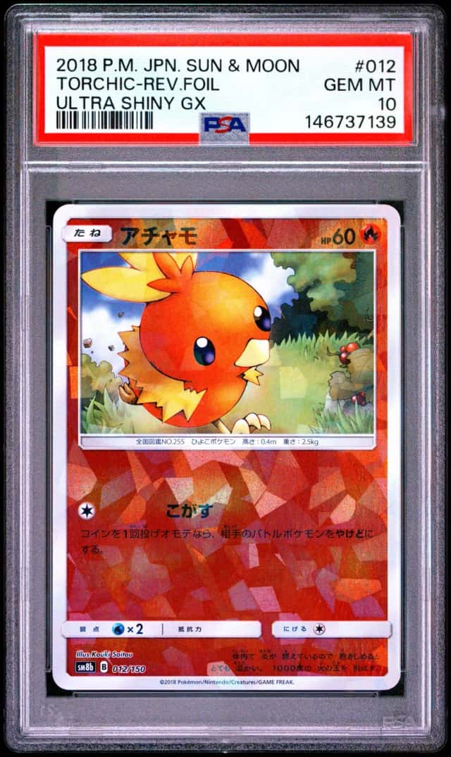 Torchic