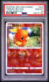 Torchic