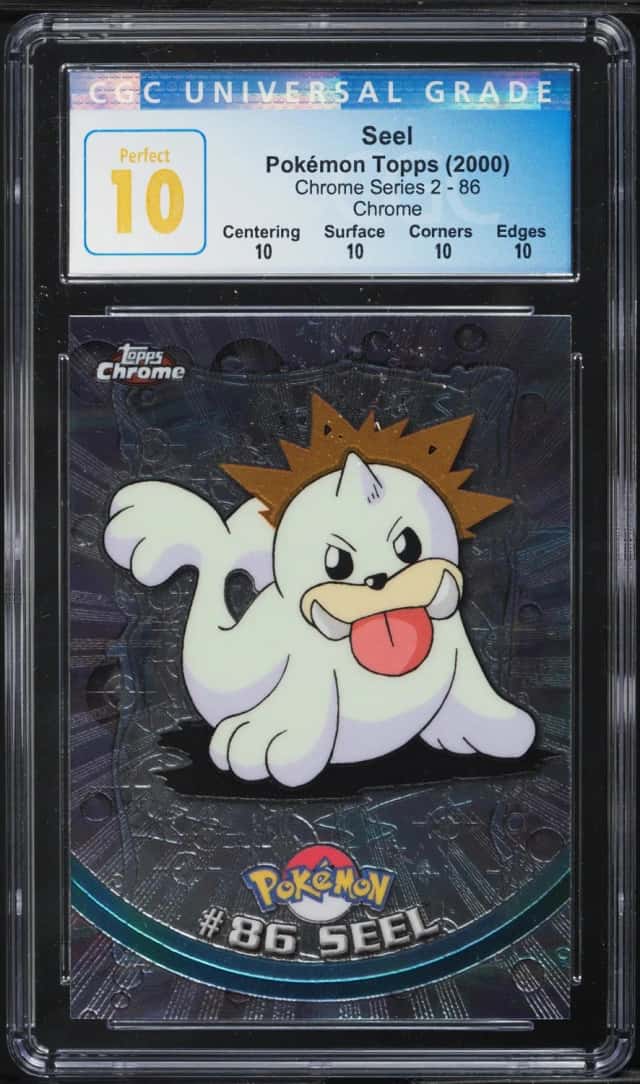 Seel