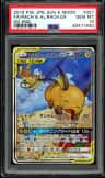 Raichu & Alolan Raichu Gx