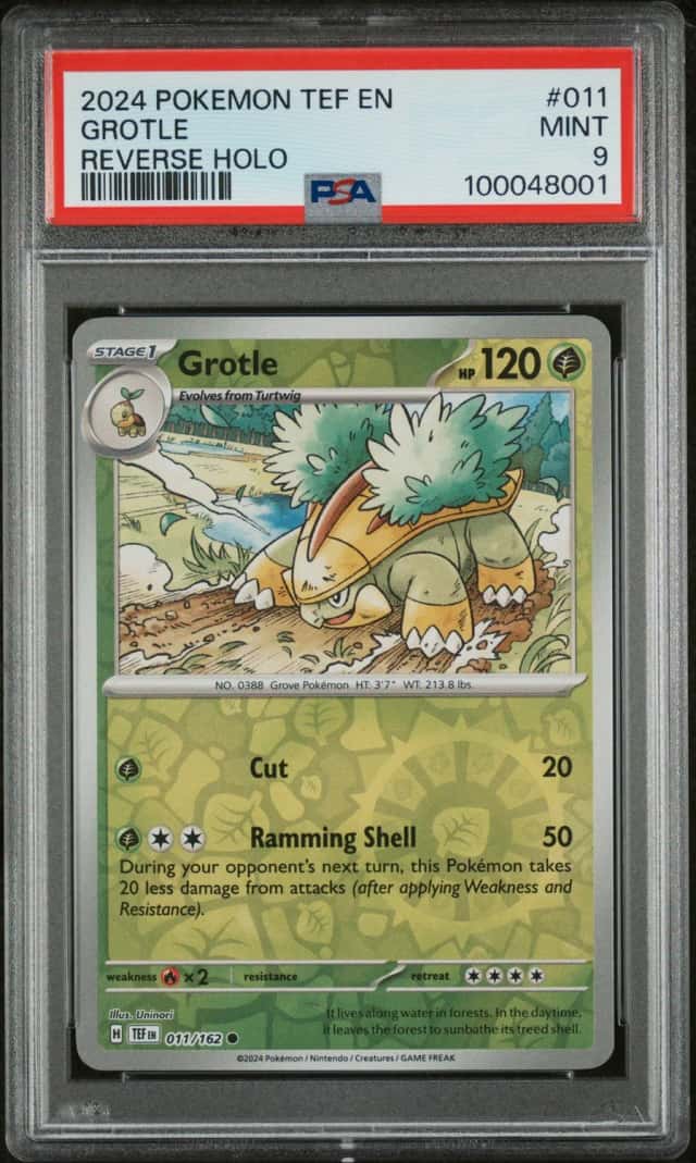 Grotle