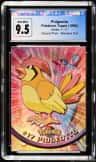 Pidgeotto