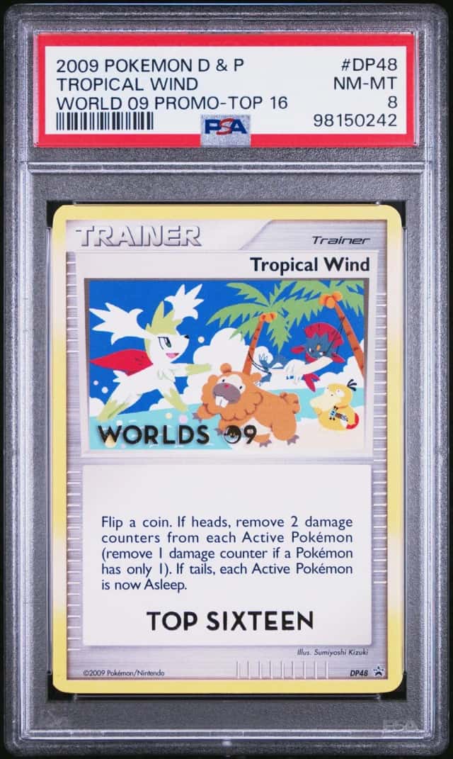 Tropical Wind