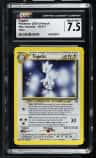 Togetic