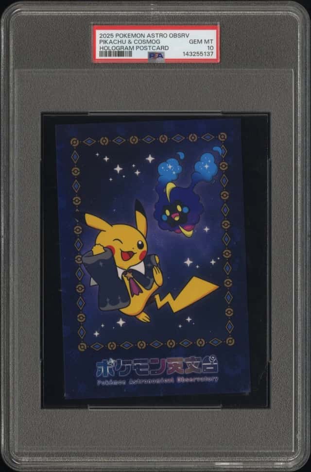 Pikachu & Cosmog
