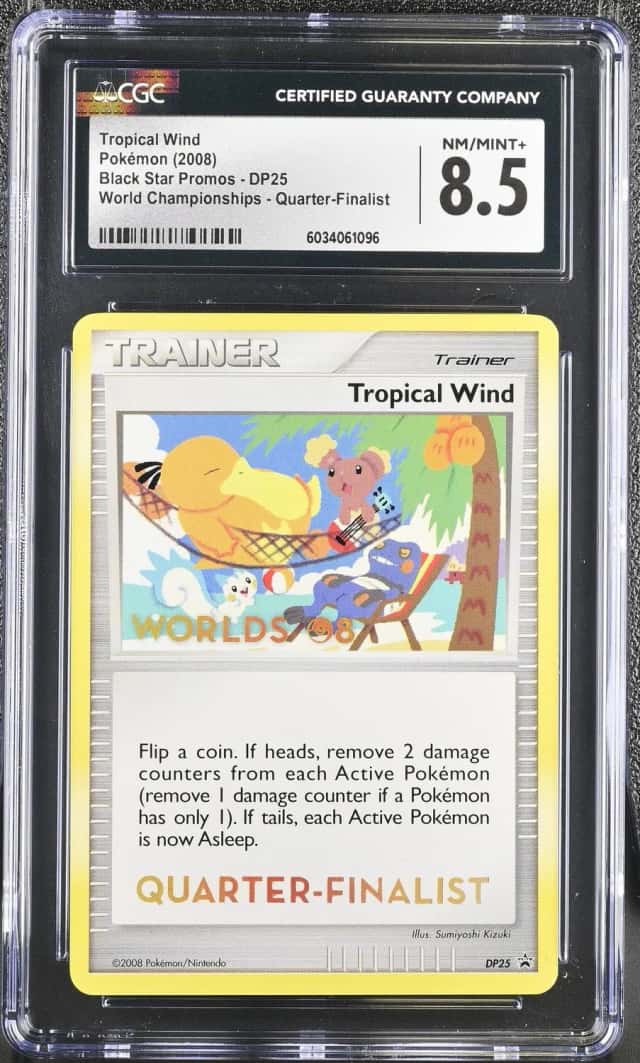 Tropical Wind