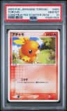 Torchic
